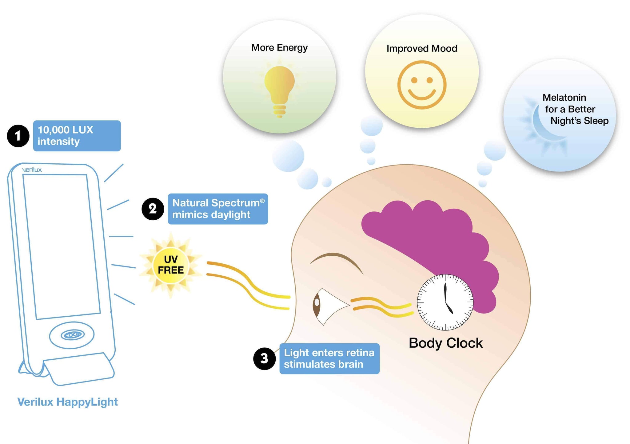 Regulate Your Circadian Rhythm & Sleep Better With Light